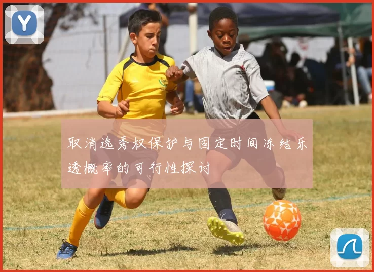 取消选秀权保护与固定时间冻结乐透概率的可行性探讨